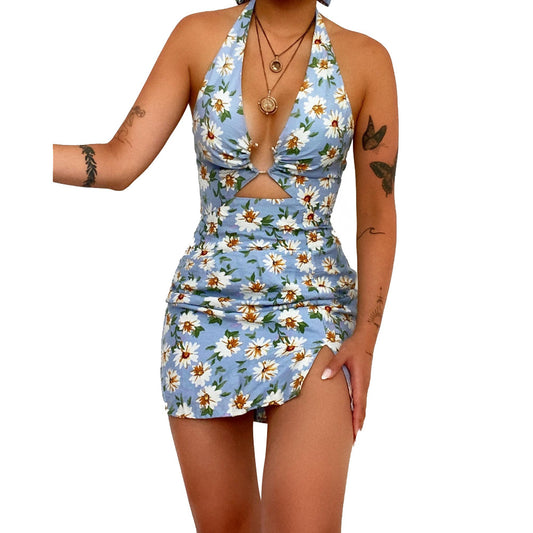 Summer Women Clothing Printed Sexy Halter Backless Dress Swimsuit